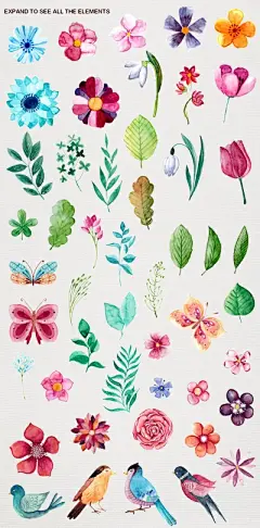 水彩---素材小画 - 高清图片，堆糖，美图壁纸兴趣社区