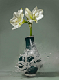 高速摄影：子弹穿过花瓶的绝美毁灭瞬间 : 摄影师Martin Klimas利用高速摄影记录了子弹击碎花瓶，水花四溅在空中的瞬间。