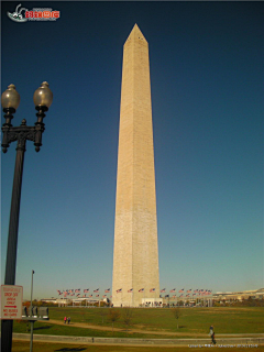 摇曳的小花采集到华盛顿纪念碑