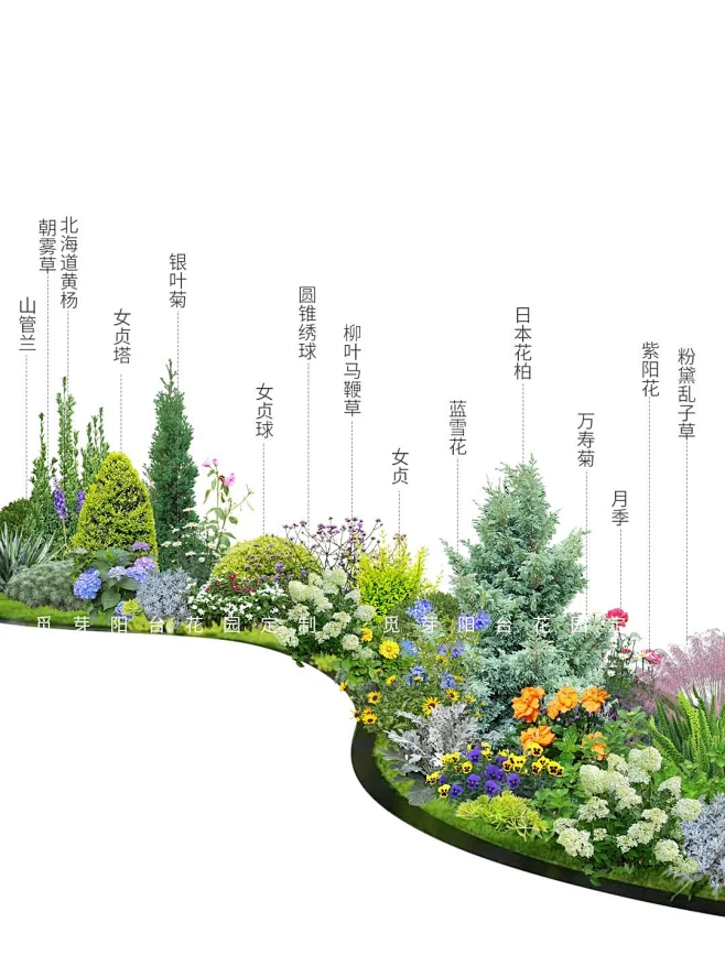 夏季超实用的低维护庭院花园植物搭配来啦！ - 小红书-花瓣网