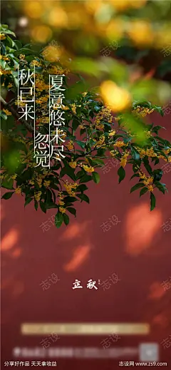 桂花立秋秋分海报-源文件下载