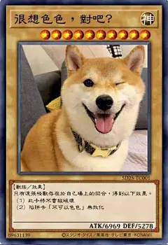 (4 封私信 / 34 条消息) 柴犬表情包 - 搜索结果 - 知乎