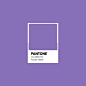 #PurpleHebe #PantoneNylonBrights #luxurydotcom