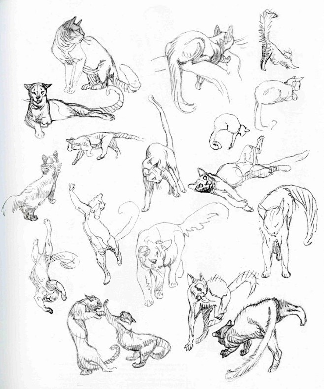 Claire Wendling's Ca...