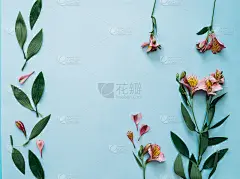 插花。蓝色背景上粉红色花朵的图案。平平淡淡，夏或春的概念，文字的去处