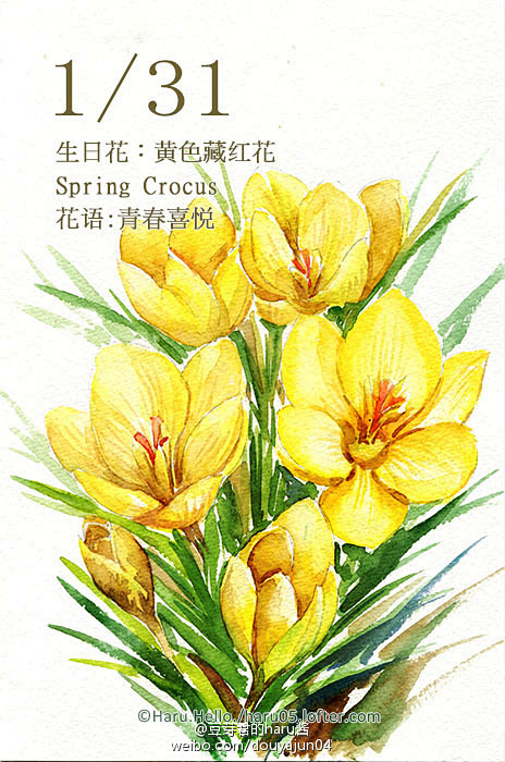 豆芽君的haru酱的微博_微博