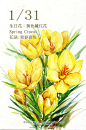 豆芽君的haru酱的微博_微博