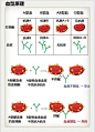 来自相册