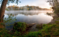 General 2880x1800 nature landscape trees forests clouds water lake mist grass plants reflection branches morning