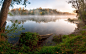 General 2880x1800 nature landscape trees forest clouds water lake mist grass plants reflection branches morning