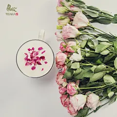 鹿马创意 | 饮品美食视觉形象策划工作室 

鹿马广告旗下，立足上海与杭州，服务辐射全国，由知名摄影师陈燕飞掌镜，专注美食与饮品视觉形象摄影设计的工作室。 
服务项目：饮品摄影丨美食摄影丨淘宝摄影丨产品摄影 | 人物摄影 | 纪实摄影丨生活摄影丨创意策划丨

我们服务过的品牌
加盟连锁茶饮
鲜果时间，蜜雪冰城，新时沏，甜啦啦，Teaka，古茗，菲比，辻利，85°Tea，