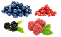 蓝莓#水果素材