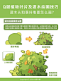 谁说落叶堆和灌木丛难画 方糖分分钟教会你 - 小红书