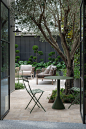 Park Villa - Secret Gardens: Sydney Landscape Architecture : “The plantings really are a delight, especially the cloud-pruned junipers and glossy green tractor seat plant.” Julie Owner