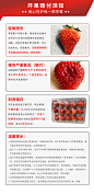 【京觅红颜奶油草莓】丹东红颜玖玖奶油草莓 重1.5kg 量贩装 新鲜水果【行情 报价 价格 评测】-京东