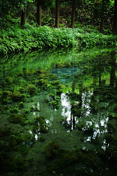 吾爱美食采集到风景