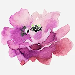 春季手绘水彩花卉手绘彩绘水彩插画高清素材 免抠 设计图片 免费下载 页面网页 平面电商 创意素材 png素材