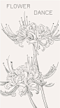 曼珠沙华，又称彼岸花。一般认为是生长在三途河边的接引之花。花香传说有魔力，能唤起死者生前的记忆。