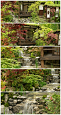 2013切尔西花展最佳工匠花园——“日本花园”，设计师在花园中间建起了一座传统的榻榻米小屋。http://t.cn/zHqICXw分享图片#