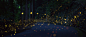 Firefly by Tsuneaki Hiramatsu on 500px