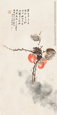 瑰梵采集到柿子