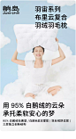 躺岛布里云羽绒枕头枕芯95白鹅绒酒店柔软软枕单人单只家用云朵枕-tmall_01