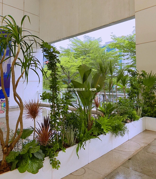 室内花箱隔断造景