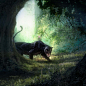 Black Panther, ooki Draws