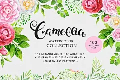 手绘水彩山茶花花朵花束花边图案插图PNG免抠设计素材 Camellia watercolor collection - 南岸设计网 nananps.com