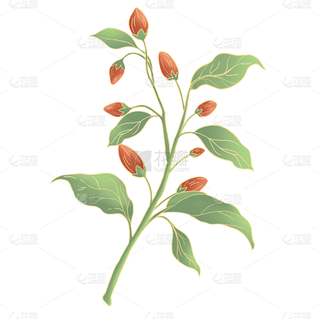 手绘-重阳节节日元素贴纸-茱萸