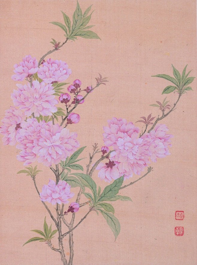 恽寿平国画花卉作品，清新典雅