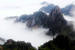 鸡蟹师采集到水墨