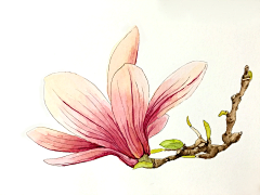 周小周z采集到周小周原创 插画
