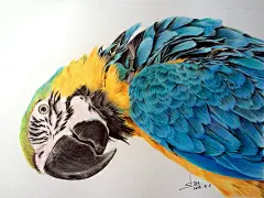 点击查看源网页