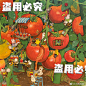 小鸡批发-的微博_微博