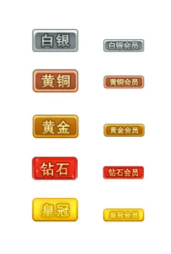 会员等级图标