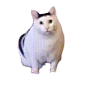 啊