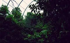 Ether经典回顾：城市摄影景物宽屏壁纸（1-27）(壁纸25)