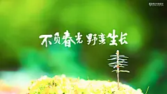 萌芽绿芽发芽生长_不负春光野蛮生长_电脑壁纸_励志壁纸1600×900 UI设计 app