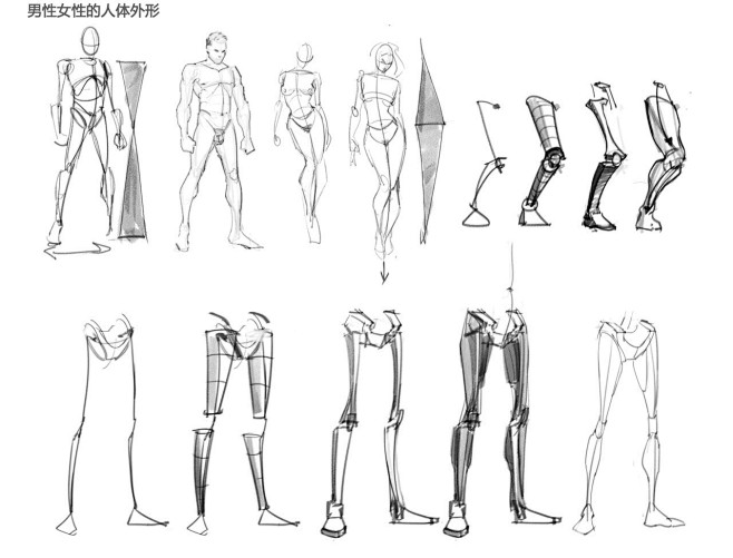 人体(03)