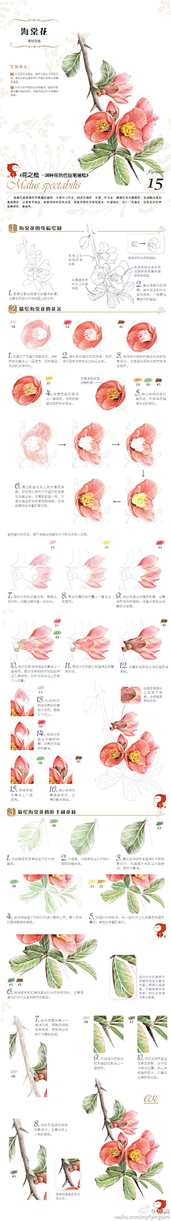 烟花漫舞采集到色铅笔 花卉