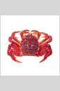 大闸蟹蟹类海鲜食品高清图片