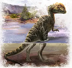 插画中国原创插画 http://bbs.chahua.org