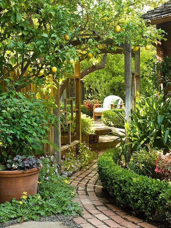 花园式庭院 