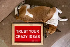 一只狗躺在沙发上，画框里有一张海报，上面写着“相信你的疯狂想法”。