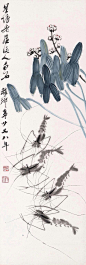 齐白石的虾