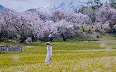 【图片】#宝藏小城#[kris带你云游花海】春来夏往，秋收冬藏，请收好这份四季“花海报表”,浙江景点图片-游侠客旅行