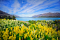 Photograph Lake Wakatipu by Michael Thien on 500px