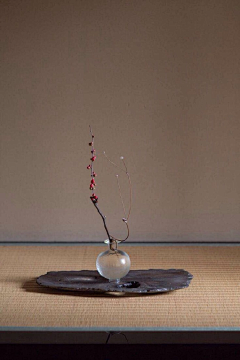 花悦茉采集到日式禅居