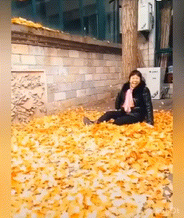 三分归元气！！是雄霸！！